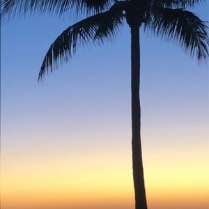 Meet your Posher, Sam